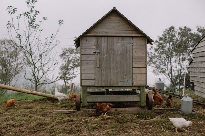 Image by <a class="text-p3" href="http://www.rebeccagoddardphotography.com" target="_blank">Rebecca Goddard Photography</a>.