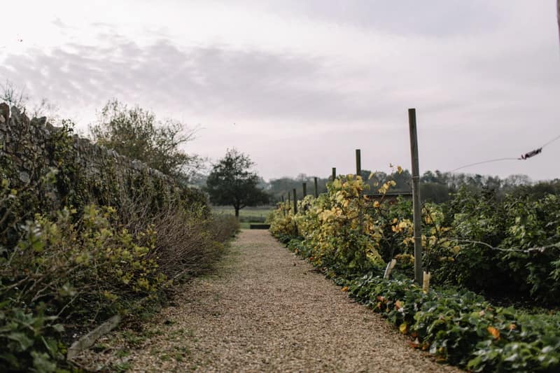 Image by <a class="text-p3" href="http://www.rebeccagoddardphotography.com" target="_blank">Rebecca Goddard Photography</a>.