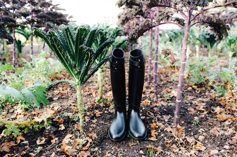 Image by <a class="text-p3" href="http://www.rebeccagoddardphotography.com" target="_blank">Rebecca Goddard Photography</a>.