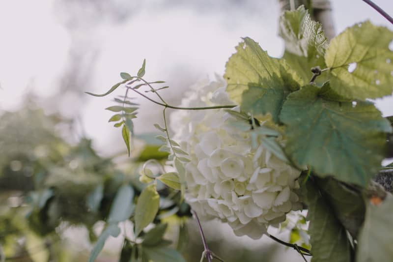 Image by <a class="text-p3" href="http://www.rebeccagoddardphotography.com" target="_blank">Rebecca Goddard Photography</a>.