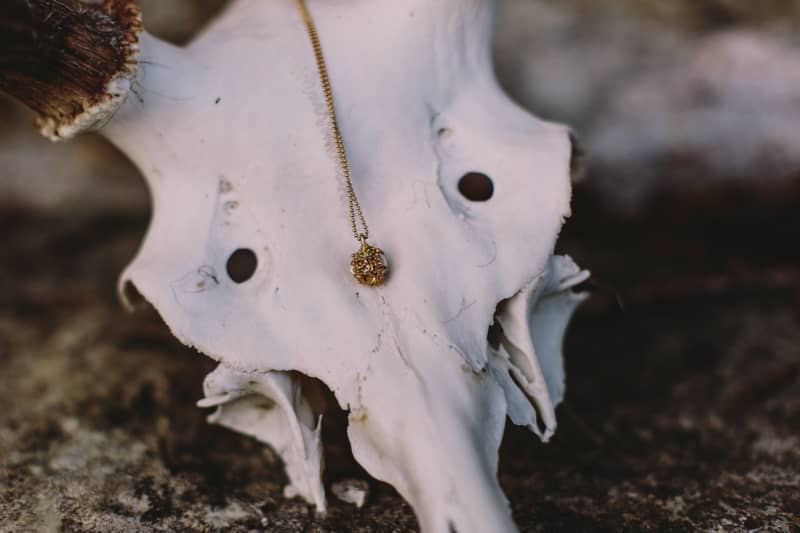 Image by <a class="text-p3" href="http://www.rebeccagoddardphotography.com" target="_blank">Rebecca Goddard Photography</a>.