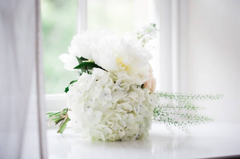 Image by <a class="text-p3" href="http://www.melissabeattie.com" target="_blank">Melissa Beattie</a>.