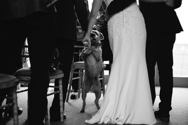 Image by <a class="text-p3" href="http://www.peachandjophotography.co.uk" target="_blank">Peach & Jo Photography</a>.