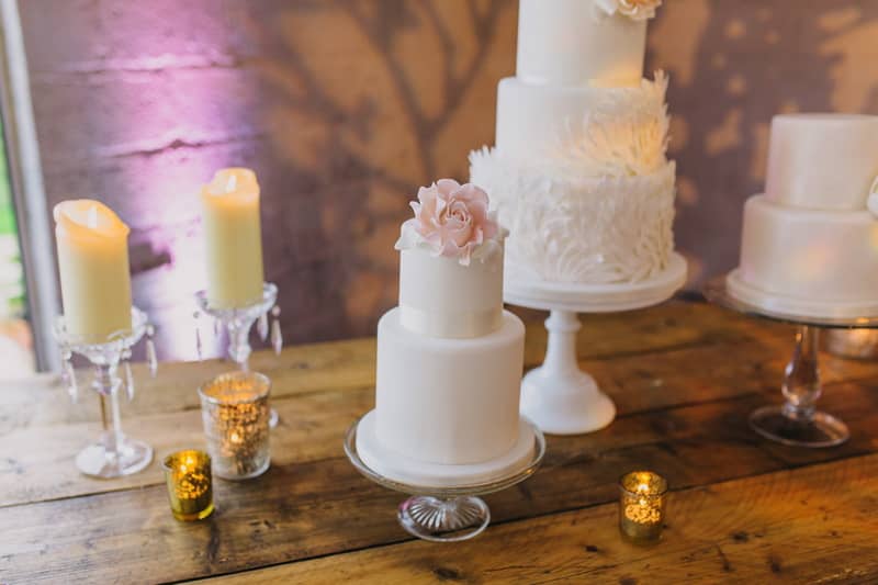 Image by <a class="text-p3" href="http://peppermintlovephotography.com" target="_blank">Peppermint Love Photography</a>.