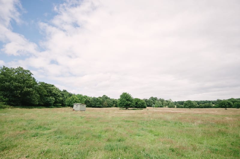 Image by <a class="text-p3" href="http://www.hannahduffy.com" target="_blank">Hannah Duffy Photography</a>.