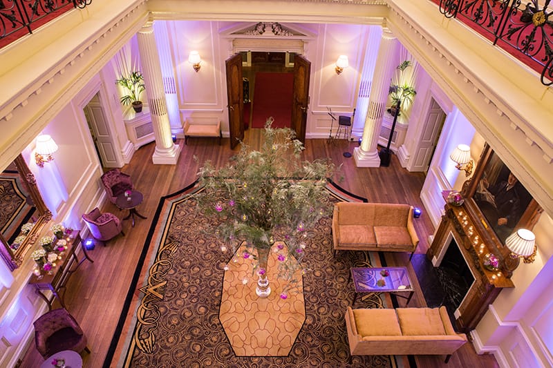 Image by <a class="text-p3" href="http://davidbostockphotography.co.uk" target="_blank">David Bostock Photography</a>.