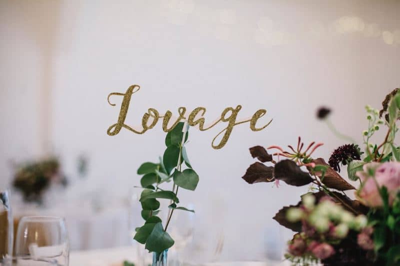 Image by <a class="text-p3" href="http://www.athinglikethatphotography.com" target="_blank">A Thing Like That Photography</a>.