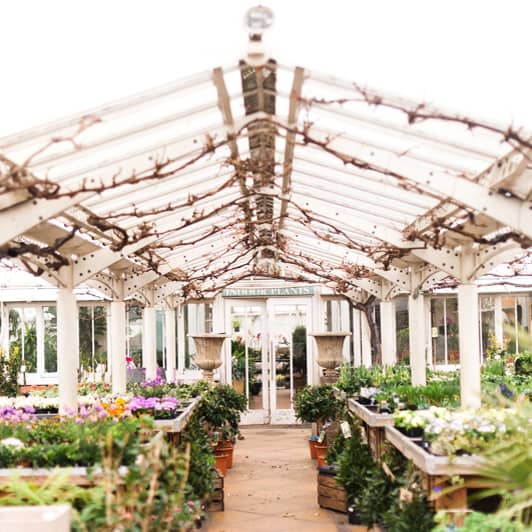 Clifton Nurseries | Image by <a class="text-p3" href="http://www.anushe.com" target="_blank">Anushé Low</a>.