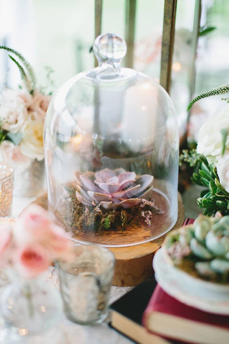 Coco Wedding Venues slideshow