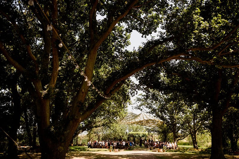 The Oak Grove