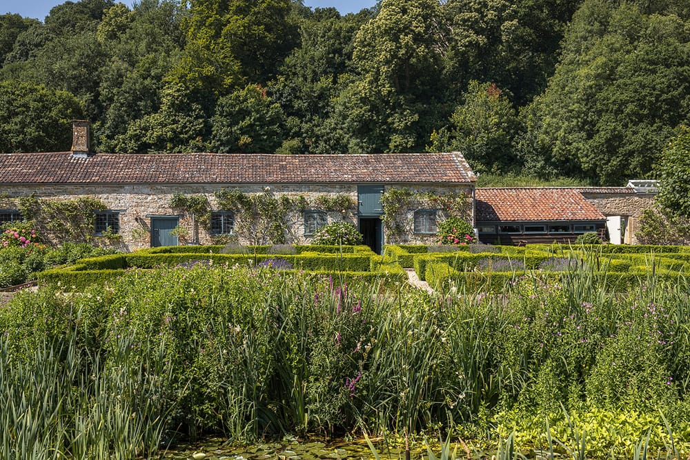 Newton Surmaville