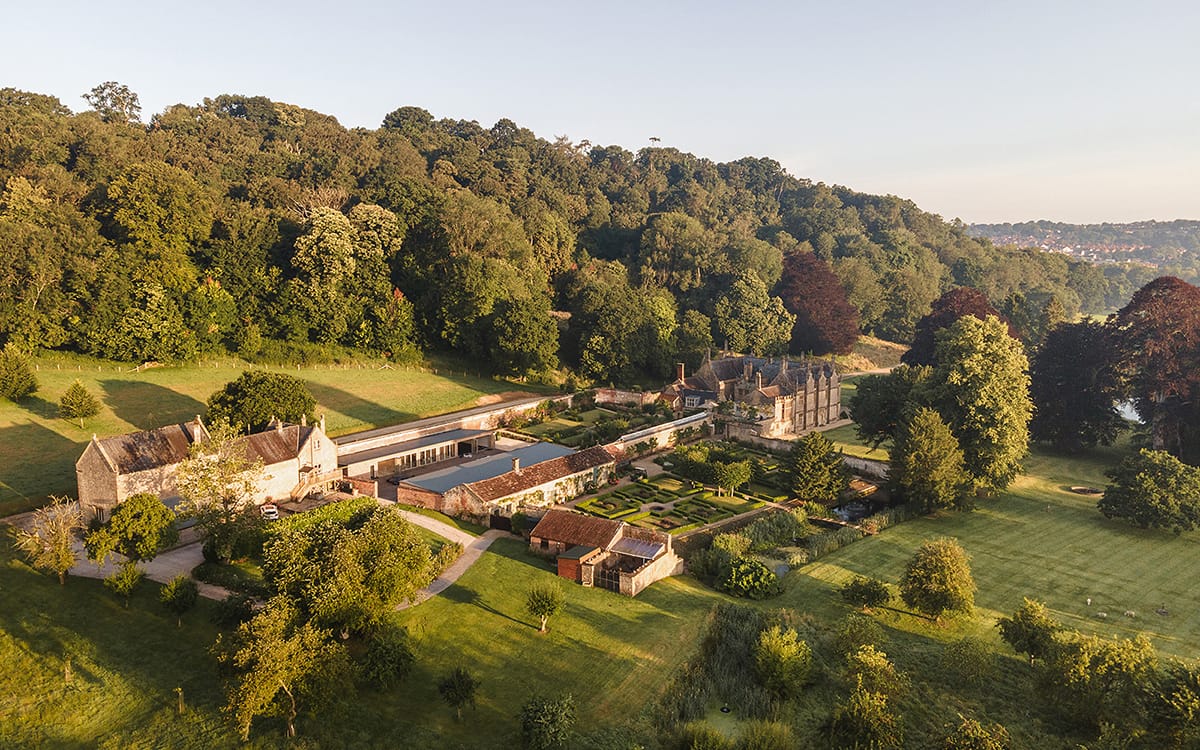 Newton Surmaville