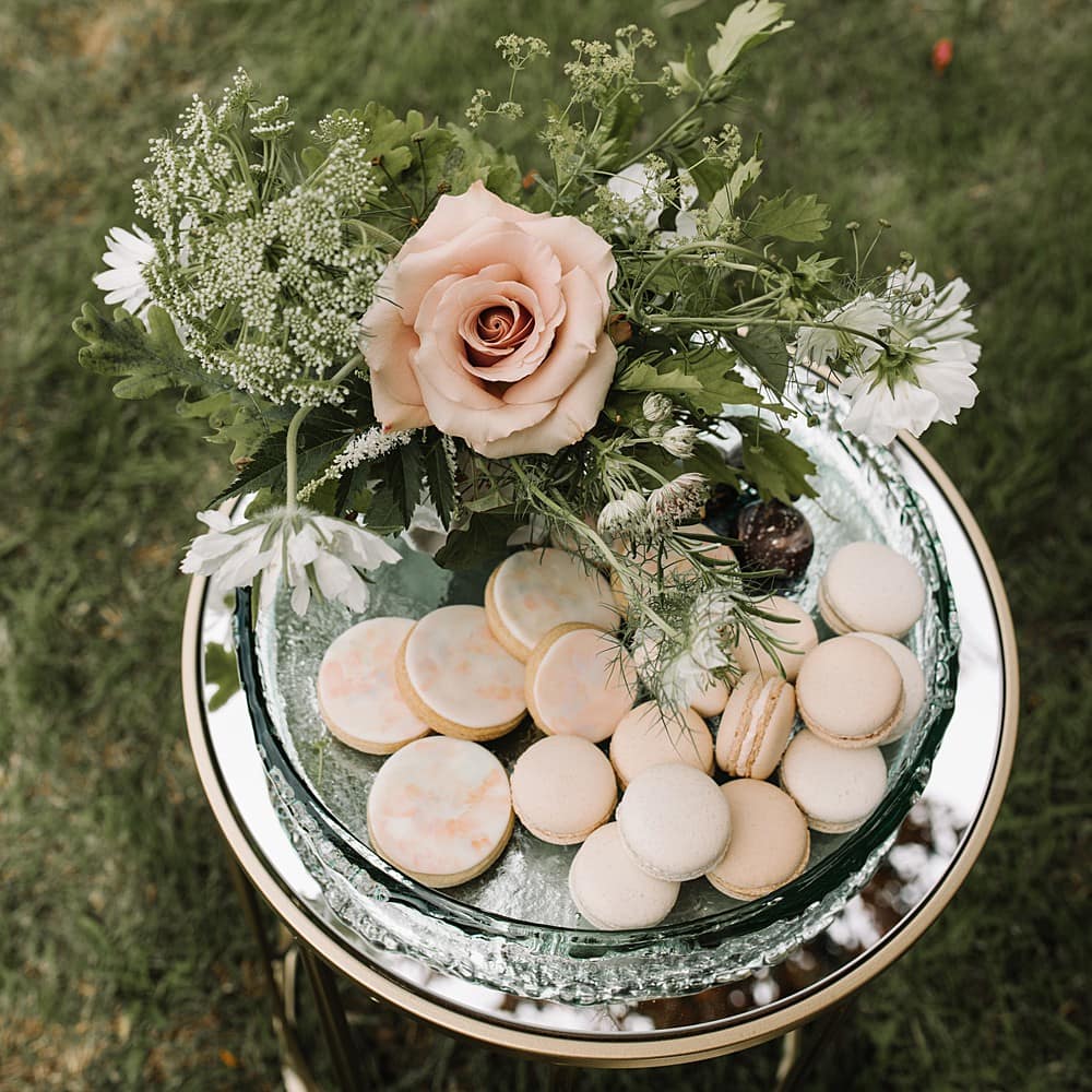 Image by <a class="text-p3" href="http://veronikaward.com" target="_blank">Veronika Ward Photography</a>.