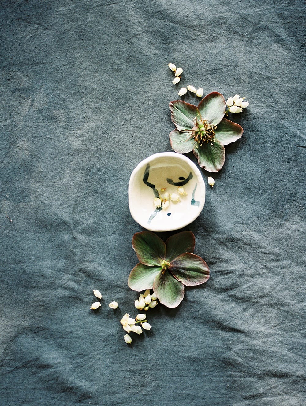 Image by <a class="text-p3" href="http://www.jadeosbornephotography.com" target="_blank">Jade Osborne Photography</a>.