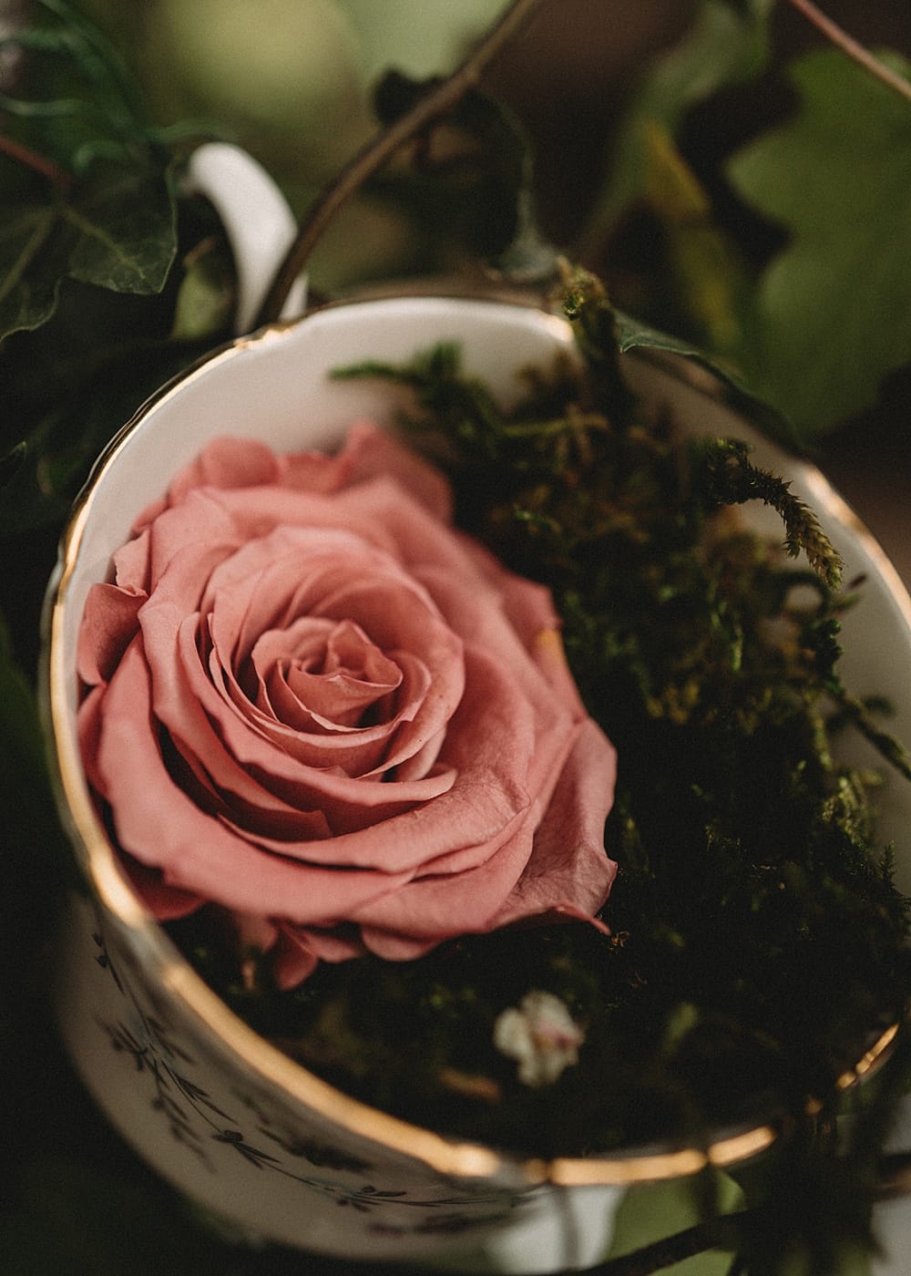 Image by <a class="text-p3" href="http://pattiefellowes.com/" target="_blank">Pattie Fellowes</a>.