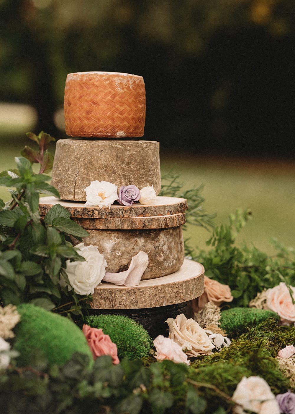 Image by <a class="text-p3" href="http://pattiefellowes.com/" target="_blank">Pattie Fellowes</a>.