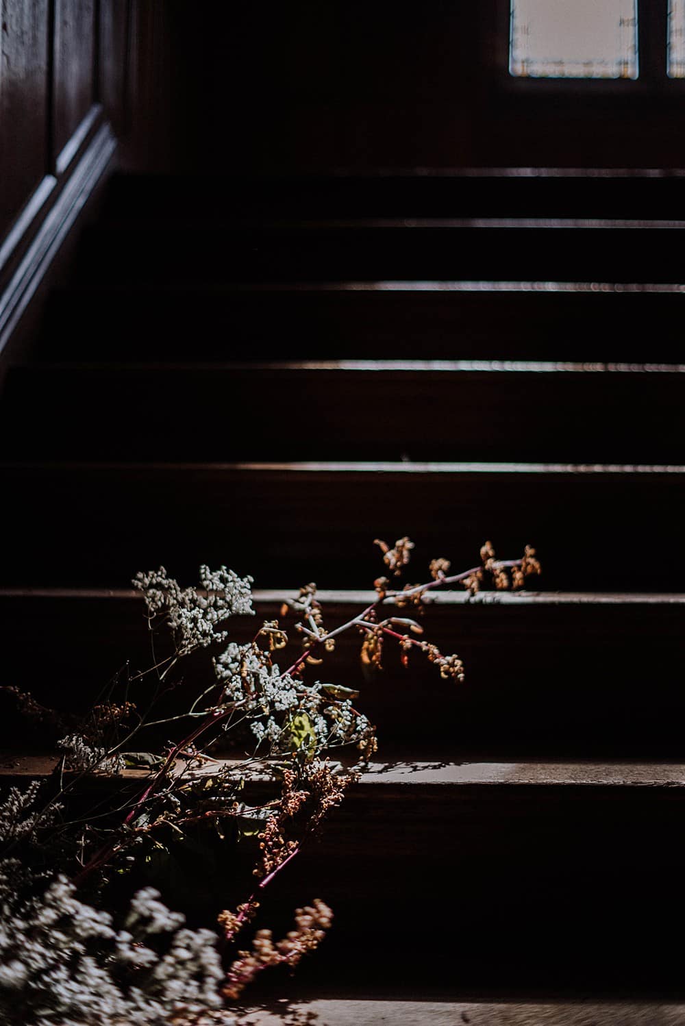 Image by <a class="text-p3" href="http://emmyloukelly.com" target="_blank">Vanitas Life</a>.