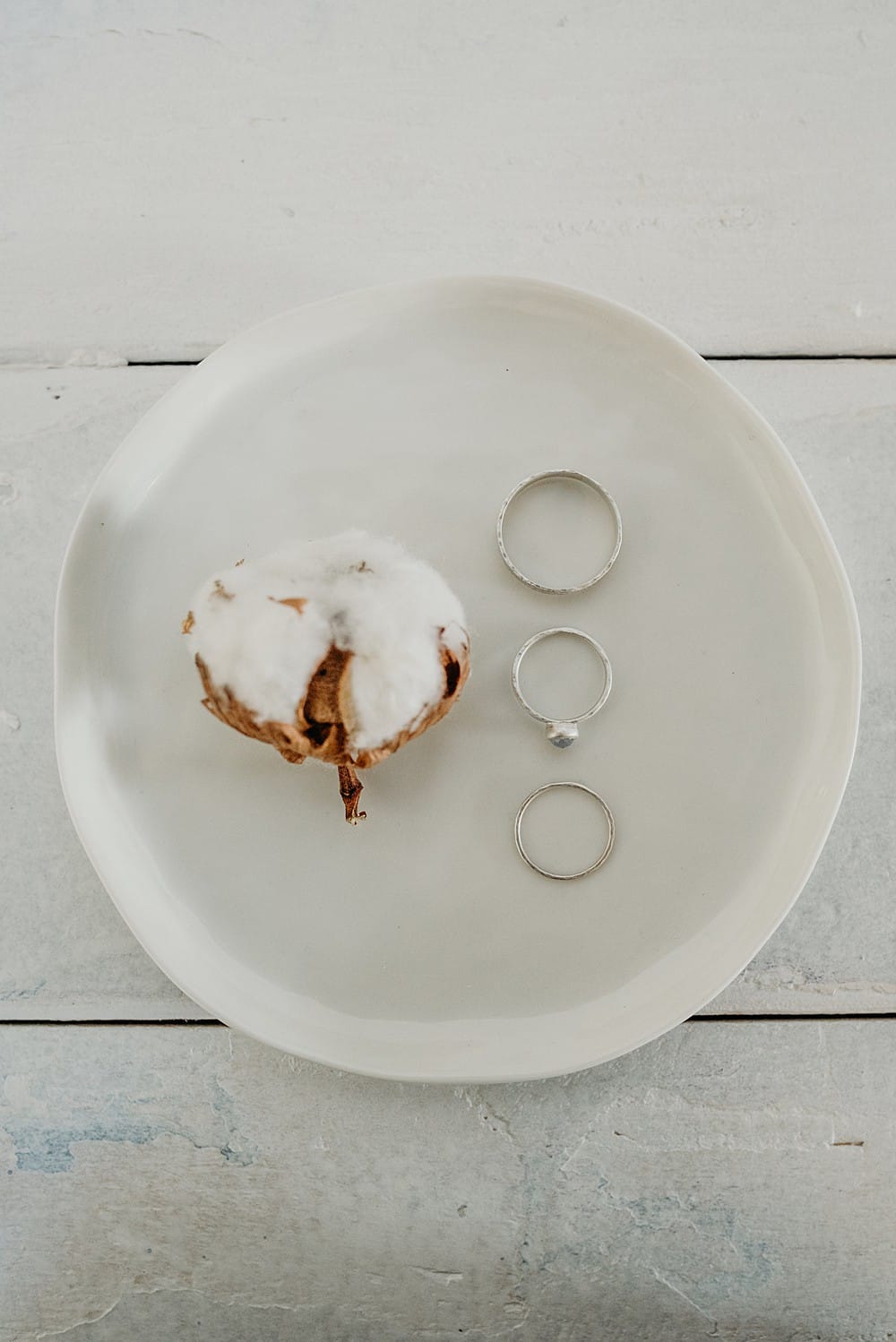 Image by <a class="text-p3" href="http://www.clarekinchinphotography.co.uk" target="_blank">Clare Kinchin Photography</a>.