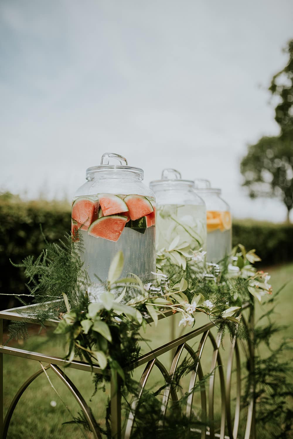 Image by <a class="text-p3" href="http://veronikaward.com" target="_blank">Veronika Ward Photography</a>.