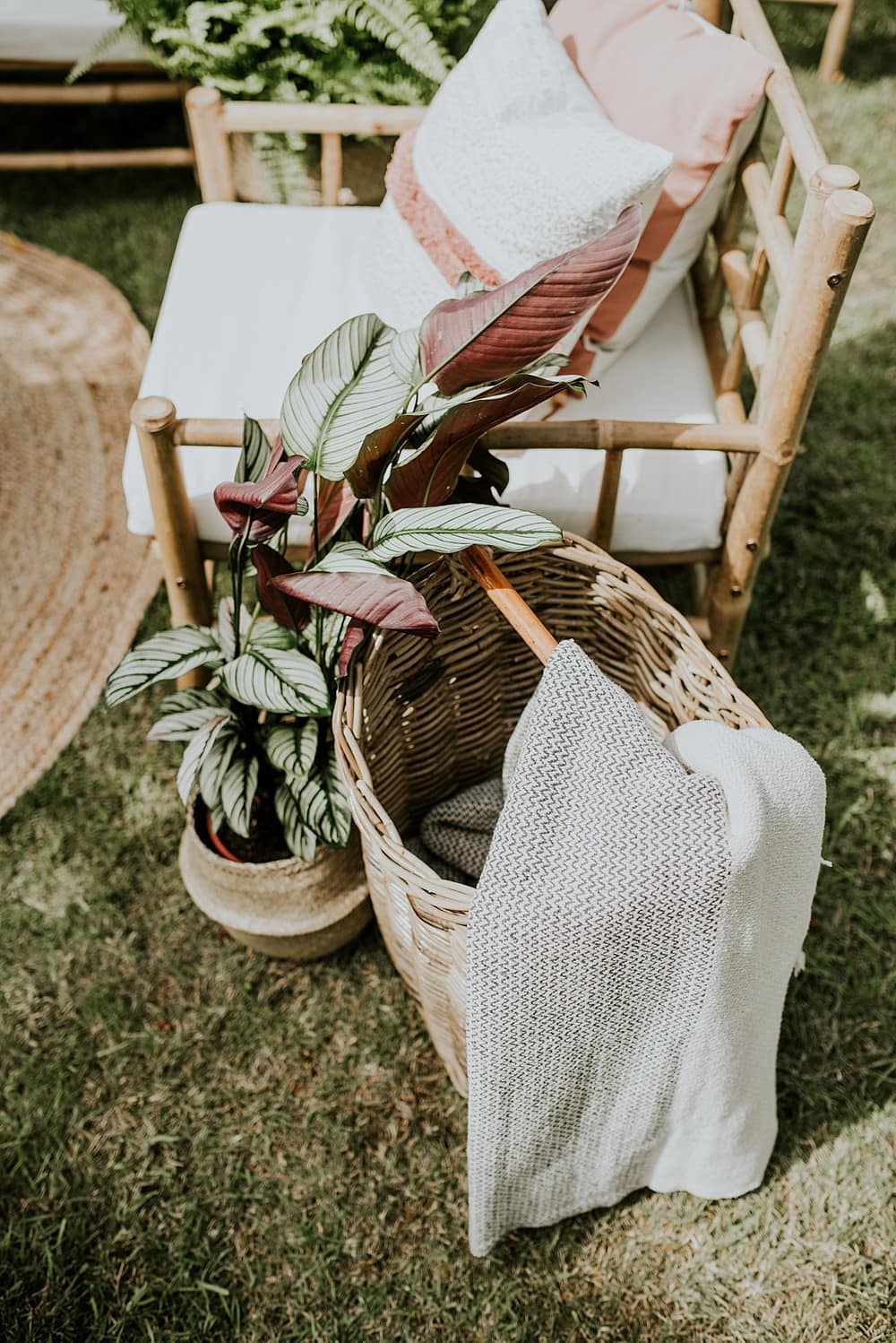 Image by <a class="text-p3" href="http://veronikaward.com" target="_blank">Veronika Ward Photography</a>.