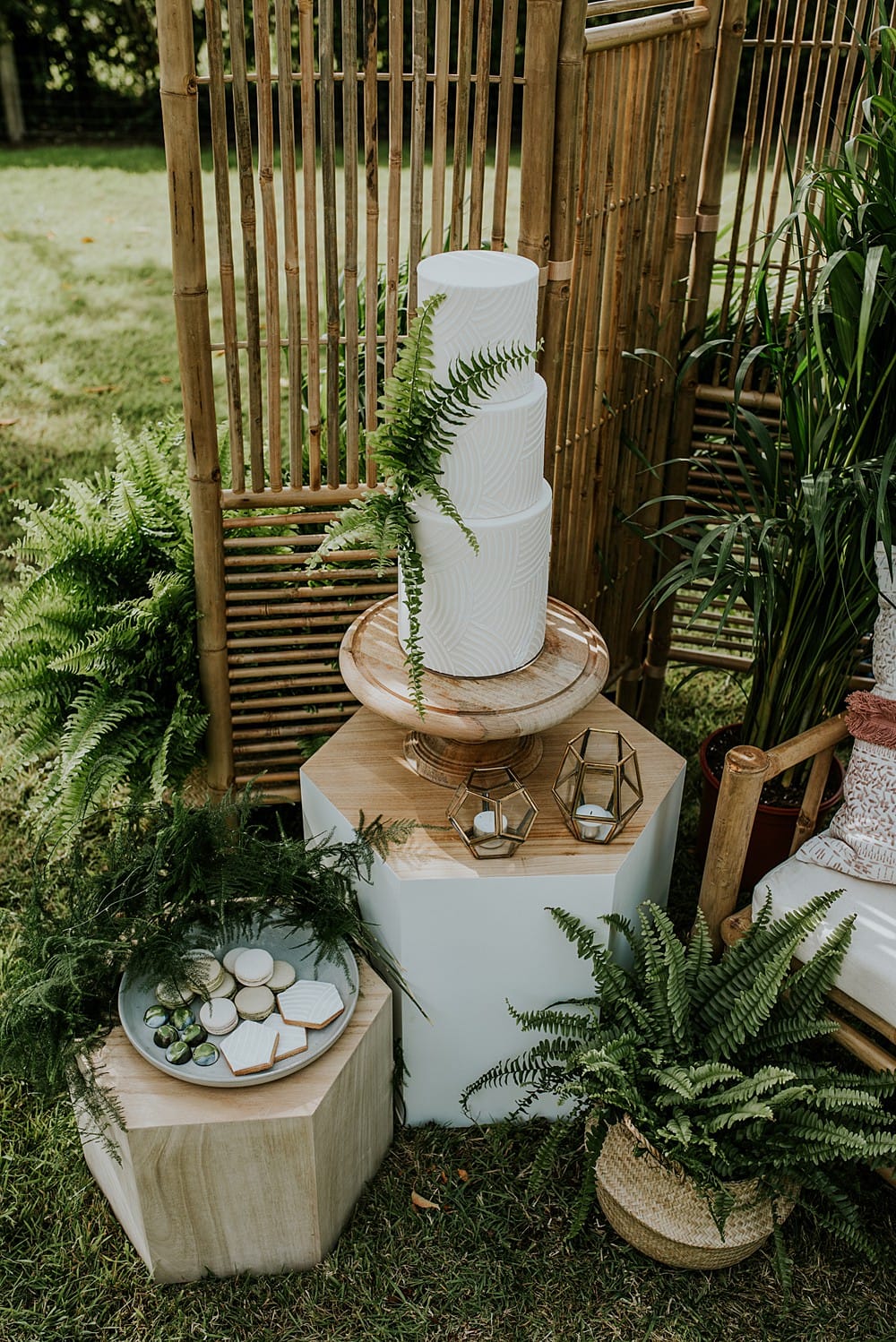 Image by <a class="text-p3" href="http://veronikaward.com" target="_blank">Veronika Ward Photography</a>.