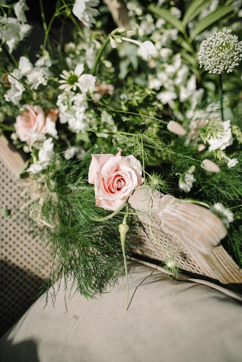 Image by <a class="text-p3" href="http://veronikaward.com" target="_blank">Veronika Ward Photography</a>.