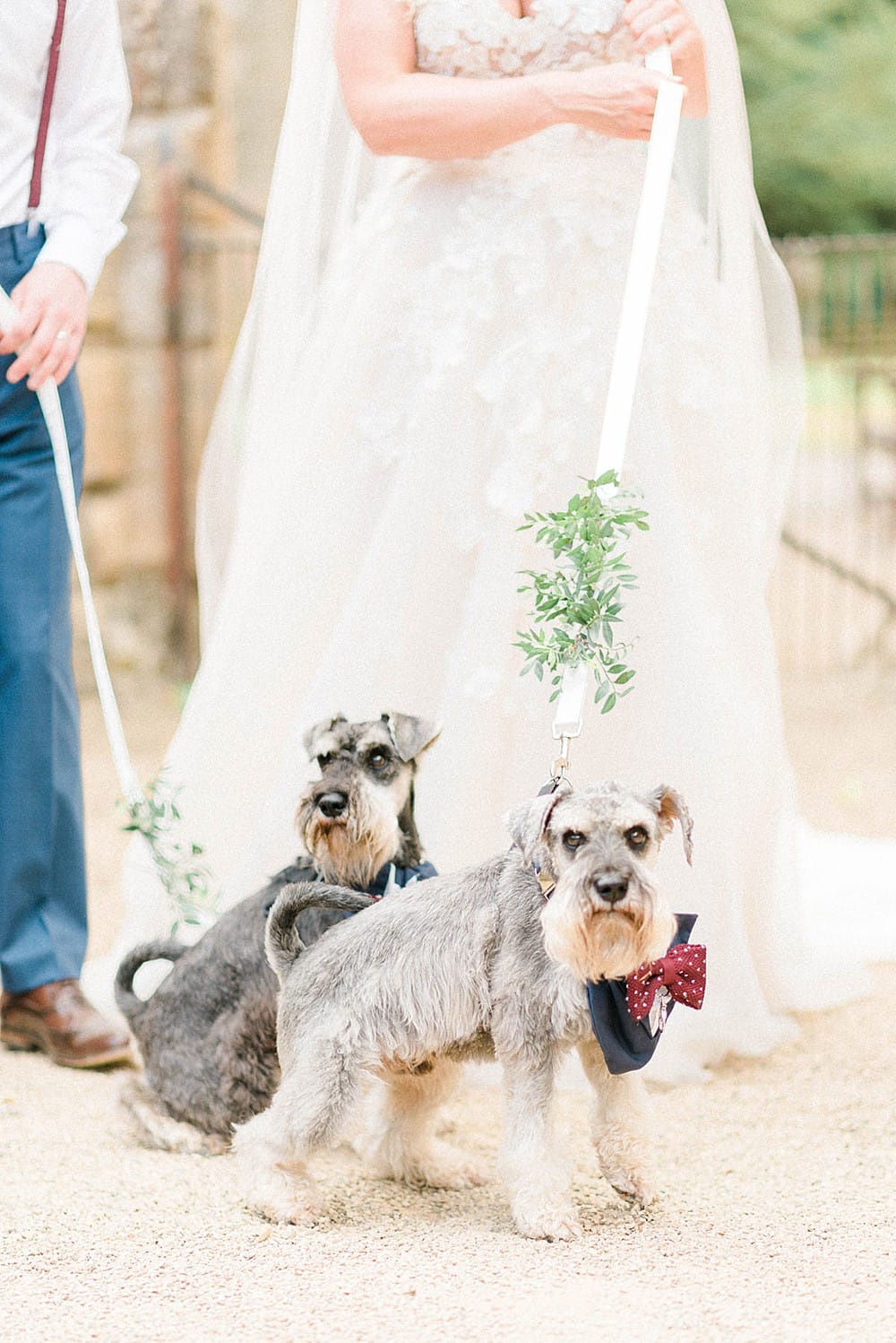 Image by <a class="text-p3" href="http://sarahjaneethan.co.uk" target="_blank">Sarah-Jane Ethan Photography</a>.