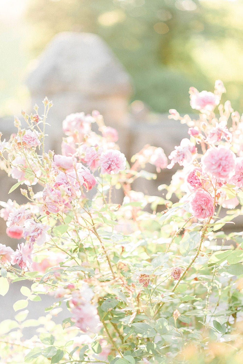 Image by <a class="text-p3" href="http://sarahjaneethan.co.uk" target="_blank">Sarah-Jane Ethan Photography</a>.