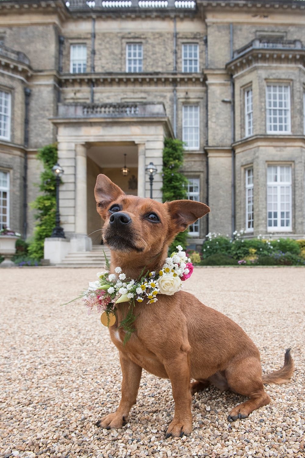 Image by <a class="text-p3" href="https://www.grantpritchard.co.uk" target="_blank">Grant Pritchard</a>.