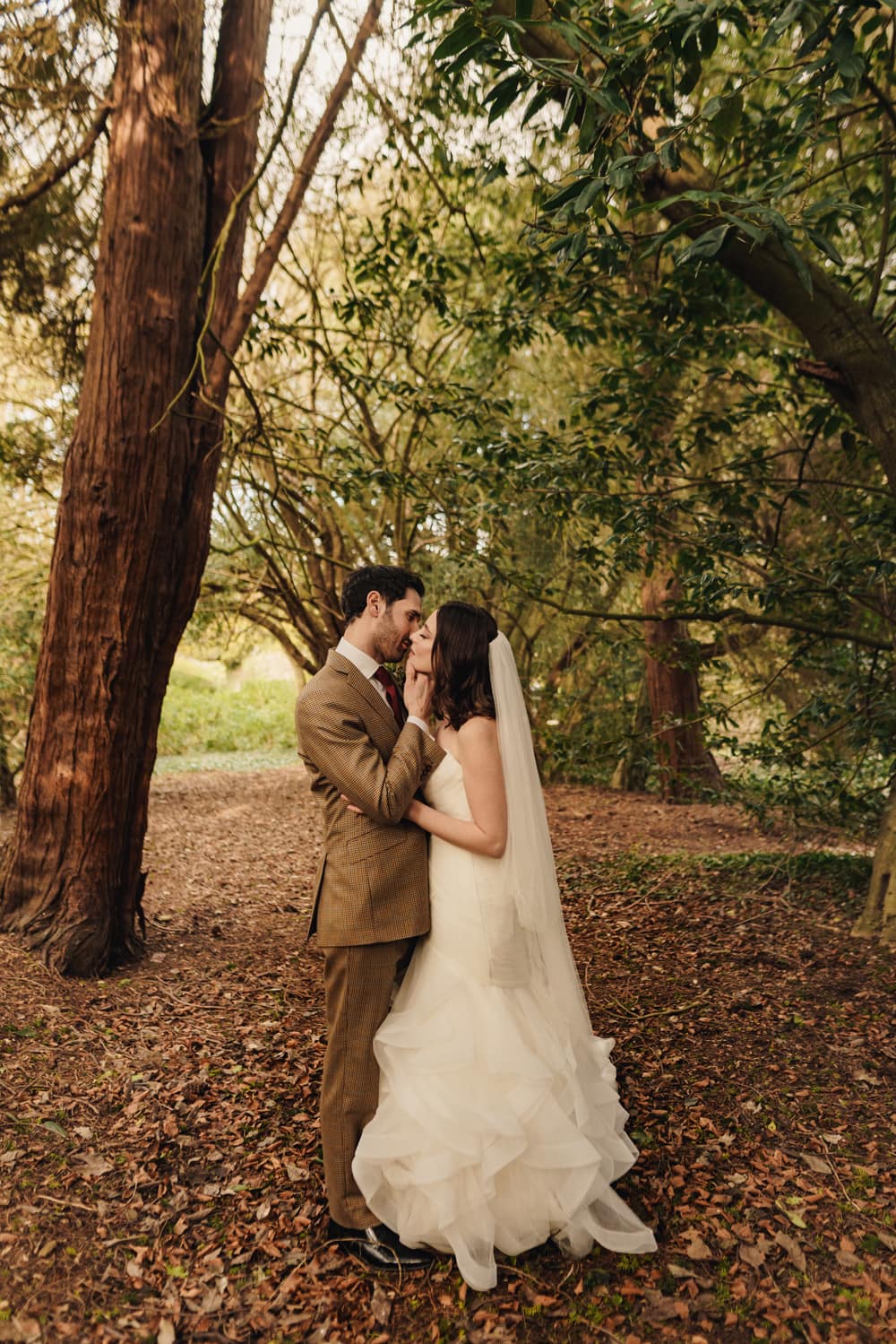 Image by <a class="text-p3" href="https://thechamberlins.co" target="_blank">The Chamberlins</a>.