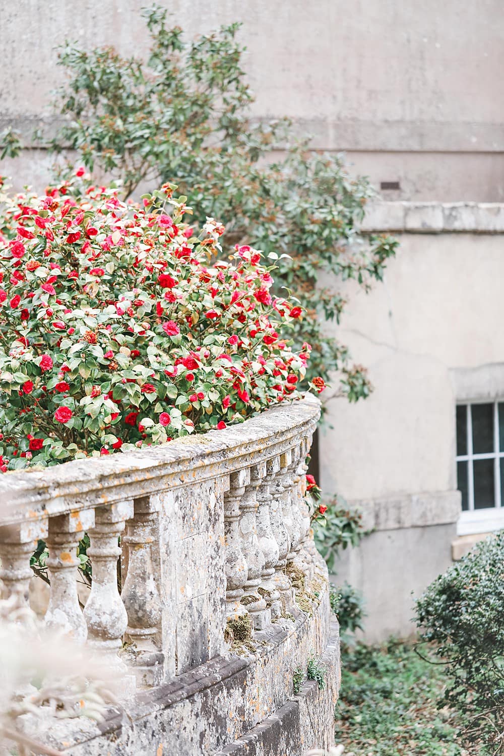 Image by <a class="text-p3" href="https://www.charlottewisephotography.co.uk" target="_blank">Charlotte Wise Fine Art Photography</a>.