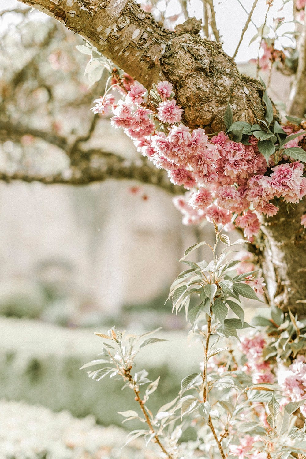 Image by <a class="text-p3" href="http://www.naomikenton.com/" target="_blank">Naomi Kenton</a>.