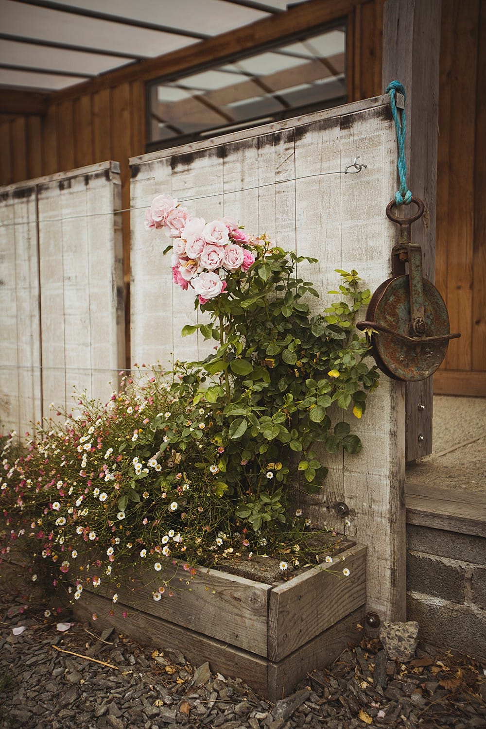 Image by <a class="text-p3" href="https://www.heatherbirniephotography.co.uk" target="_blank">Heather Birnie</a>.