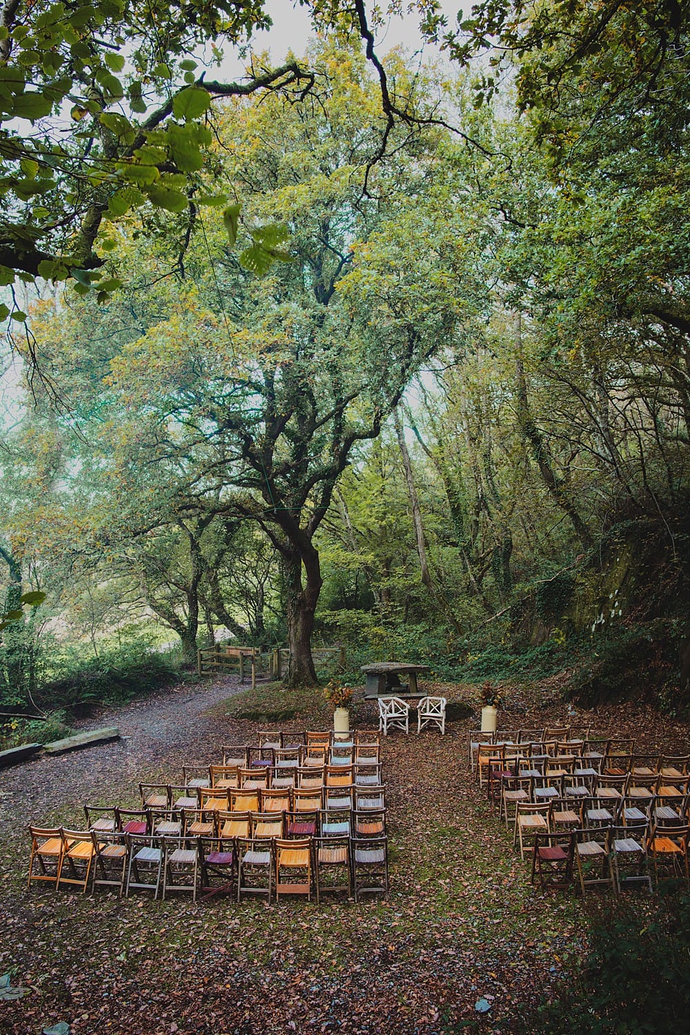 Image by <a class="text-p3" href="https://www.heatherbirniephotography.co.uk" target="_blank">Heather Birnie</a>.