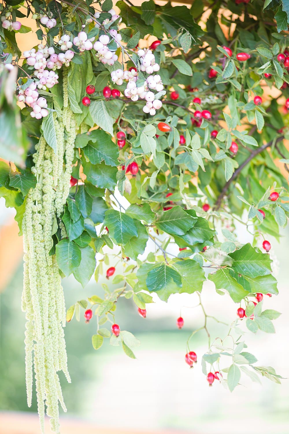 Image by <a class="text-p3" href="https://thebrandstudio.co" target="_blank">The Brand Studio</a>.