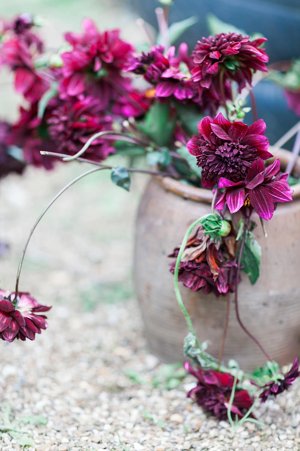 Image by <a class="text-p3" href="http://www.jobradbury.co.uk" target="_blank">Jo Bradbury Photography</a>.