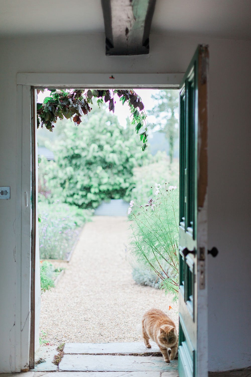 Image by <a class="text-p3" href="http://www.jobradbury.co.uk" target="_blank">Jo Bradbury Photography</a>.