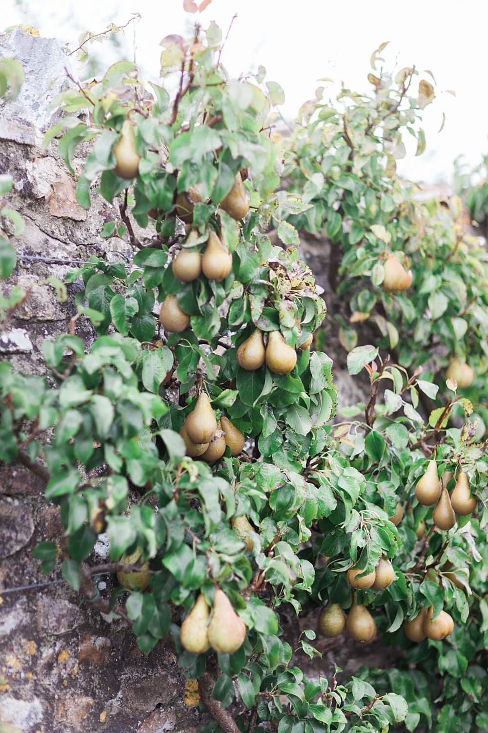 Image by <a class="text-p3" href="http://www.jobradbury.co.uk" target="_blank">Jo Bradbury Photography</a>.