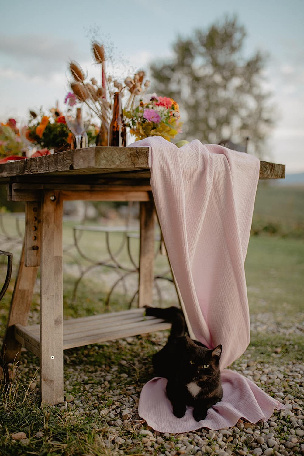 Image by <a class="text-p3" href="http://www.federicacavicchi.com" target="_blank">Federica Cavicchi Photography</a>.