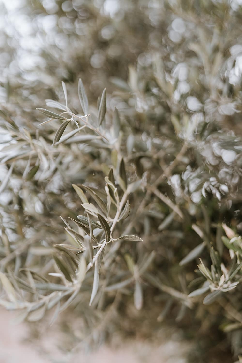 Image by <a class="text-p3" href="http://georginaharrisonphotography.co.uk" target="_blank">Georgina Harrison Photography</a>.