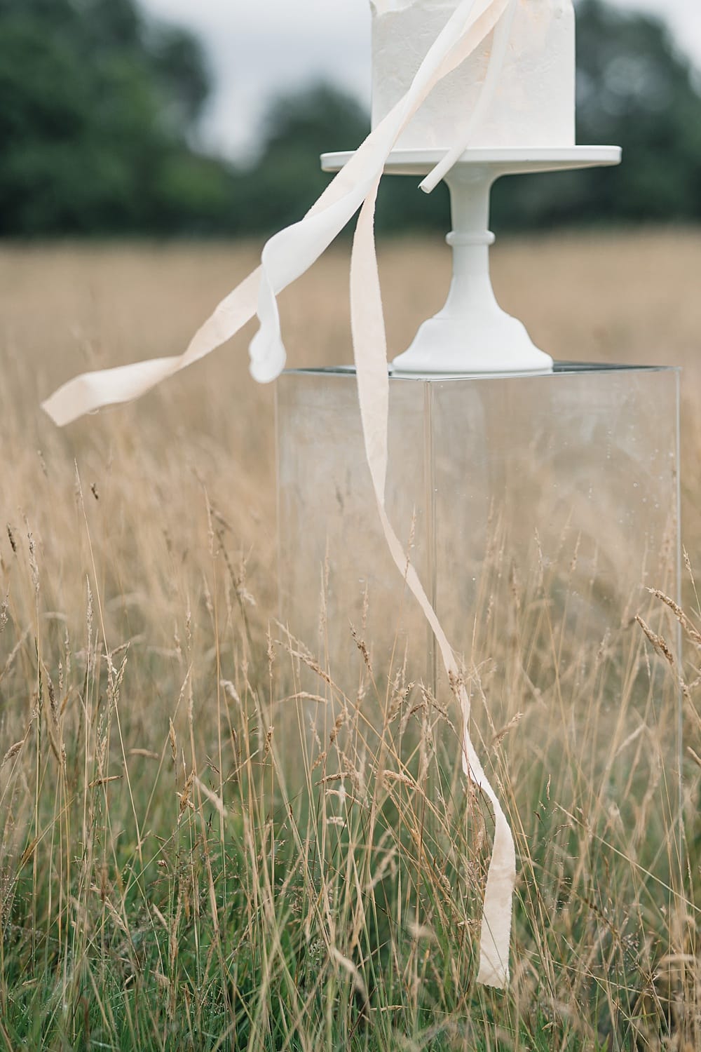 Image by <a class="text-p3" href="https://www.rebeccasearlephotography.co.uk" target="_blank">Rebecca Searle Photography</a>.