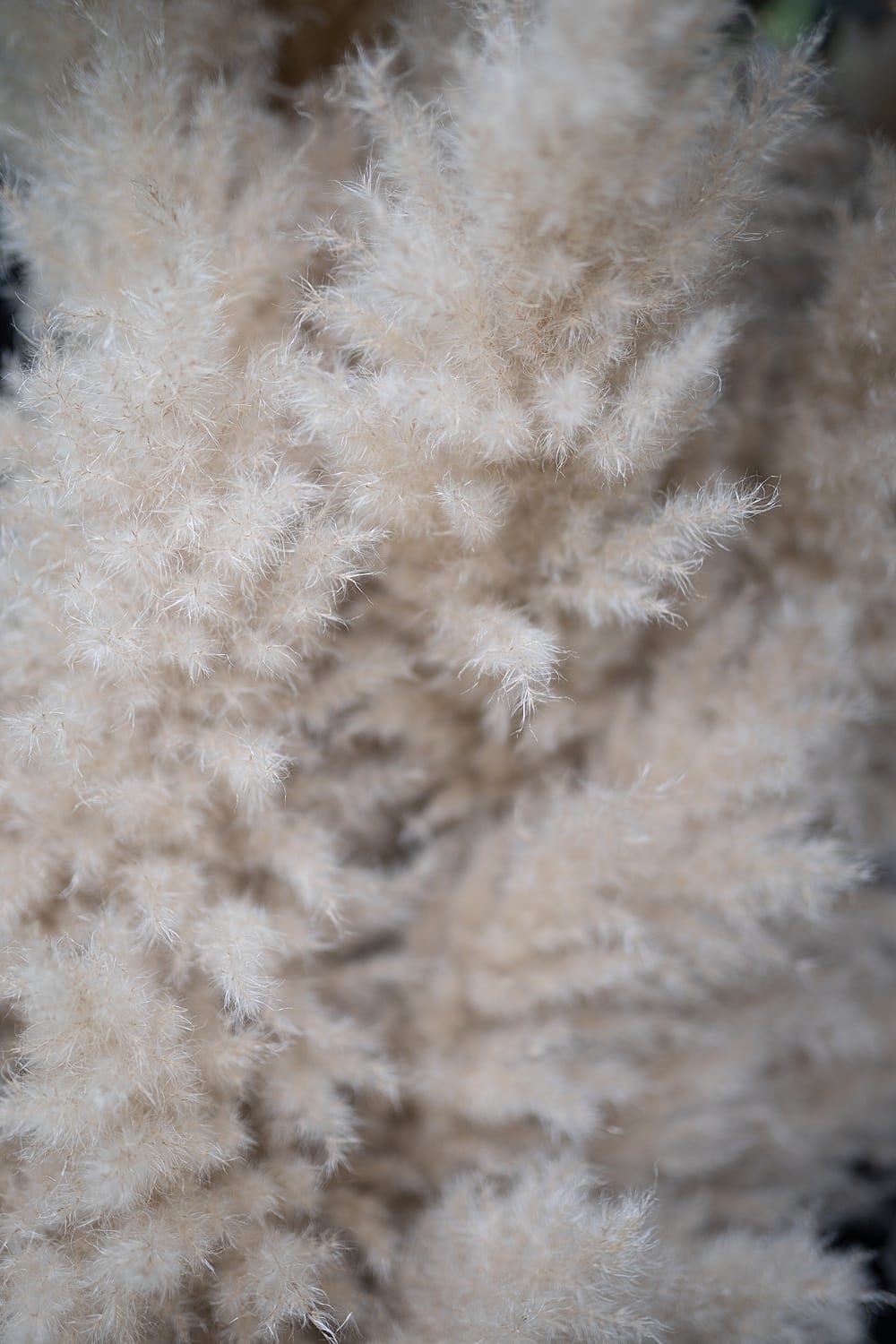 Image by <a class="text-p3" href="https://www.rebeccasearlephotography.co.uk" target="_blank">Rebecca Searle Photography</a>.