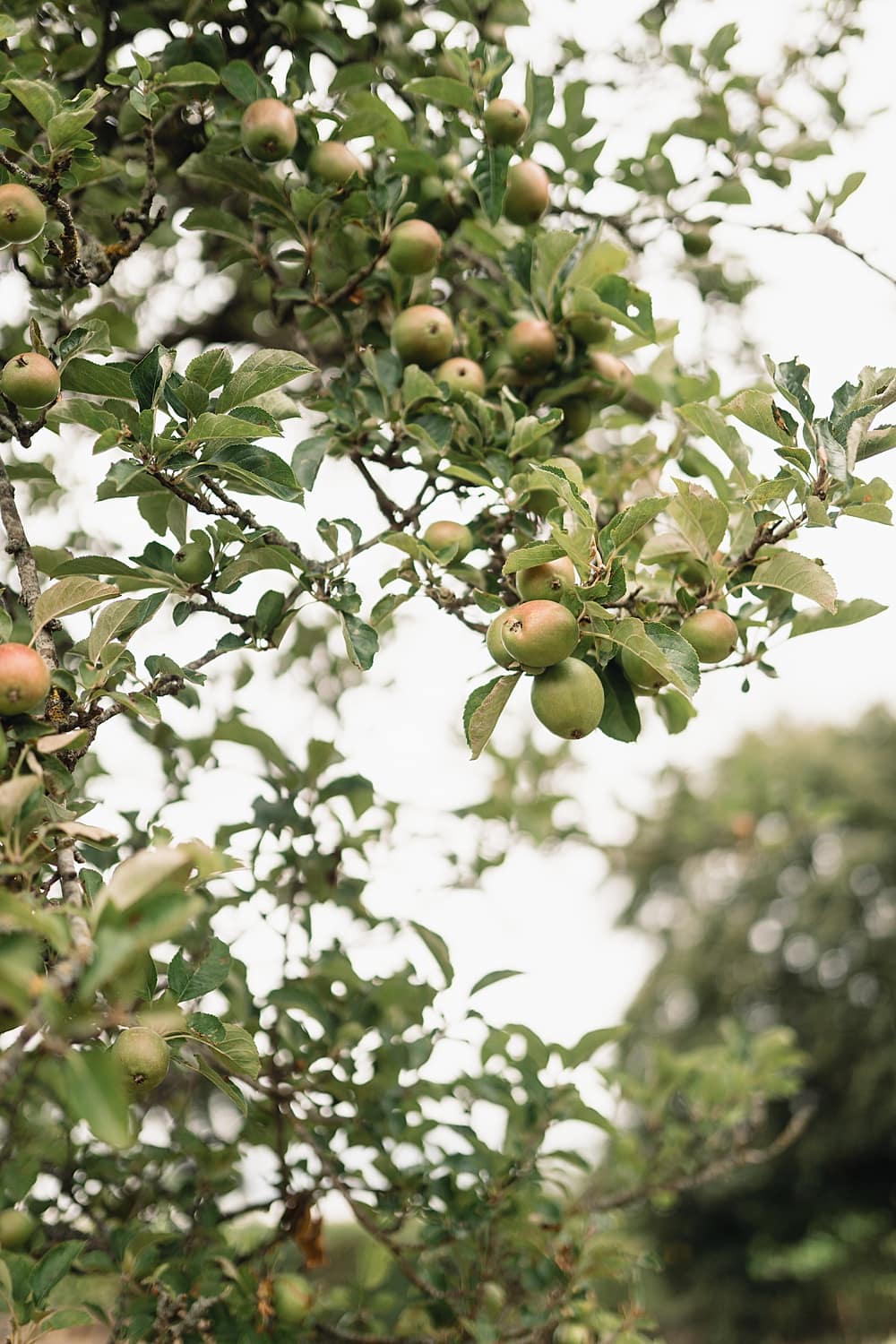 Image by <a class="text-p3" href="https://www.rebeccasearlephotography.co.uk" target="_blank">Rebecca Searle Photography</a>.