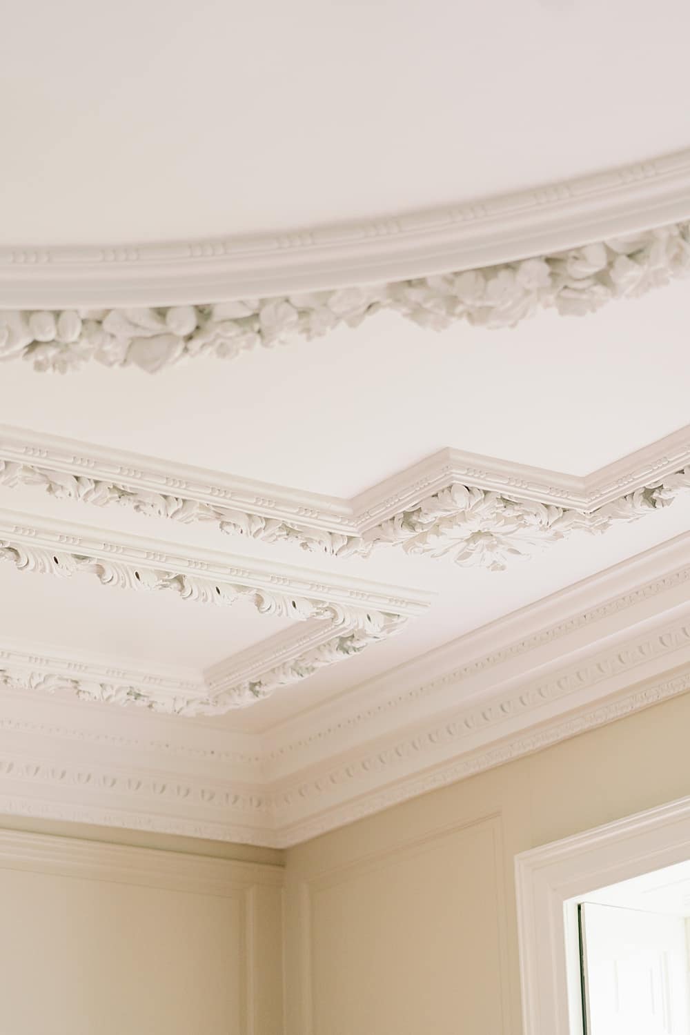 Image by <a class="text-p3" href="https://www.camillajhards.com" target="_blank">Camilla J Hards</a>.