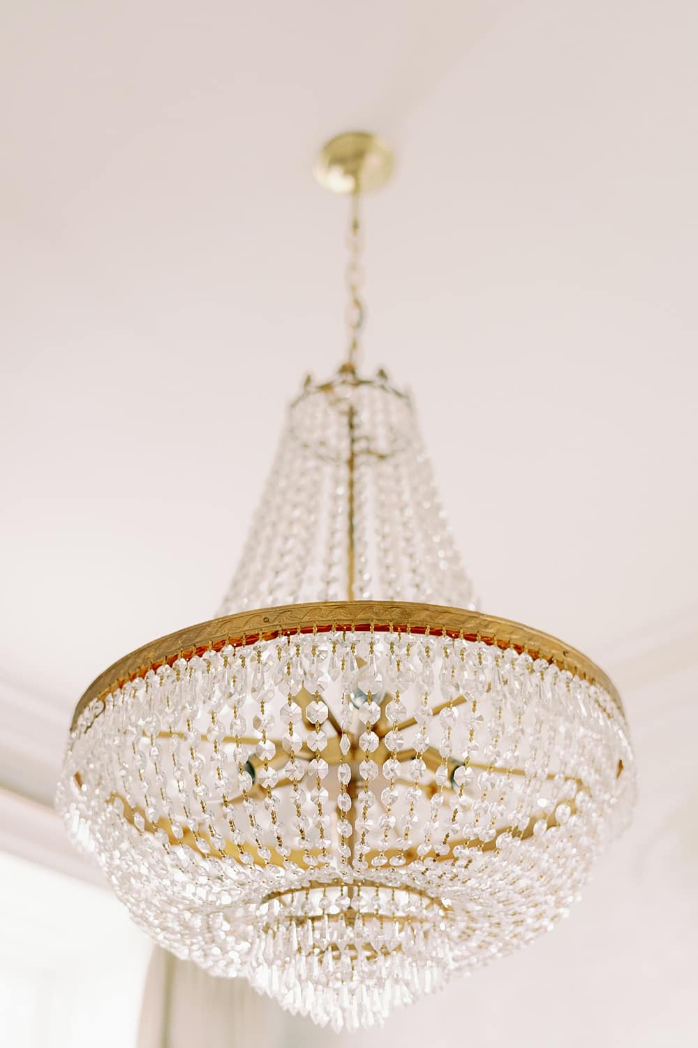 Image by <a class="text-p3" href="https://www.camillajhards.com" target="_blank">Camilla J Hards</a>.