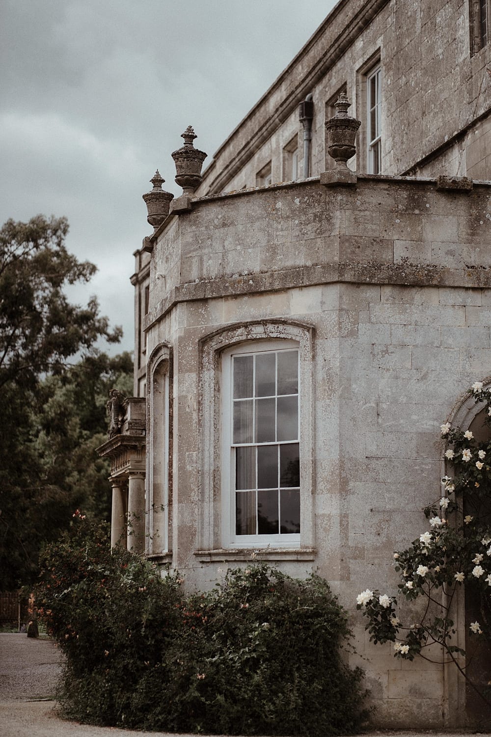 Image by <a class="text-p3" href="http://www.athinglikethatphotography.com" target="_blank">A Thing Like That Photography</a>.