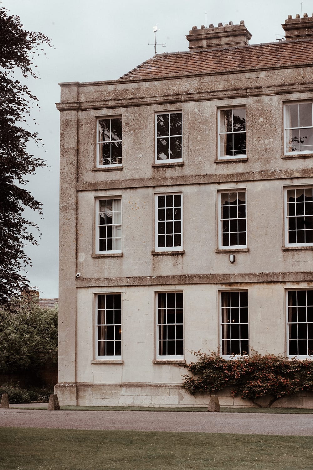 Image by <a class="text-p3" href="http://www.athinglikethatphotography.com" target="_blank">A Thing Like That Photography</a>.