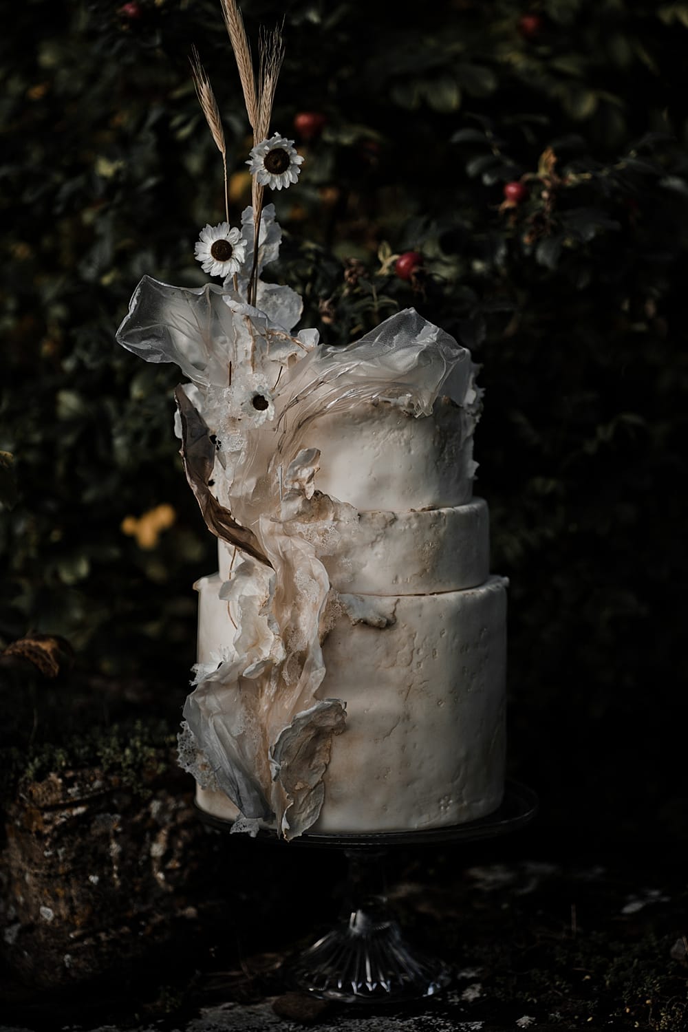 Image by <a class="text-p3" href="https://www.agrestalvisuals.co.uk" target="_blank">Agrestal Visuals</a>.