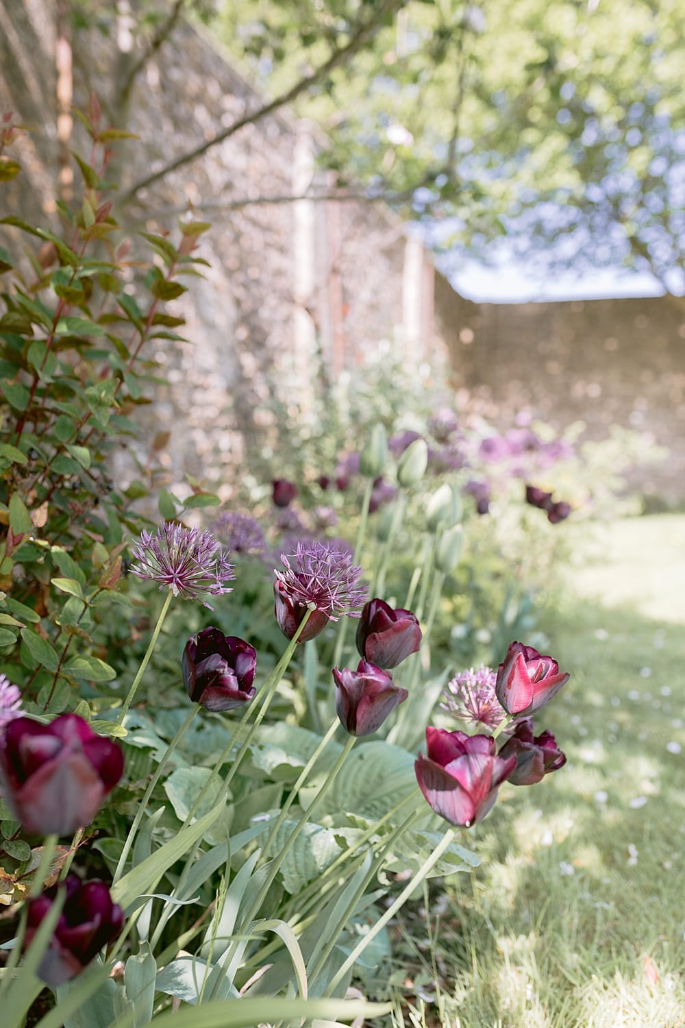 Image by <a class="text-p3" href="https://www.jenniferjanephotography.co.uk" target="_blank">Jennifer Jane Photography</a>.