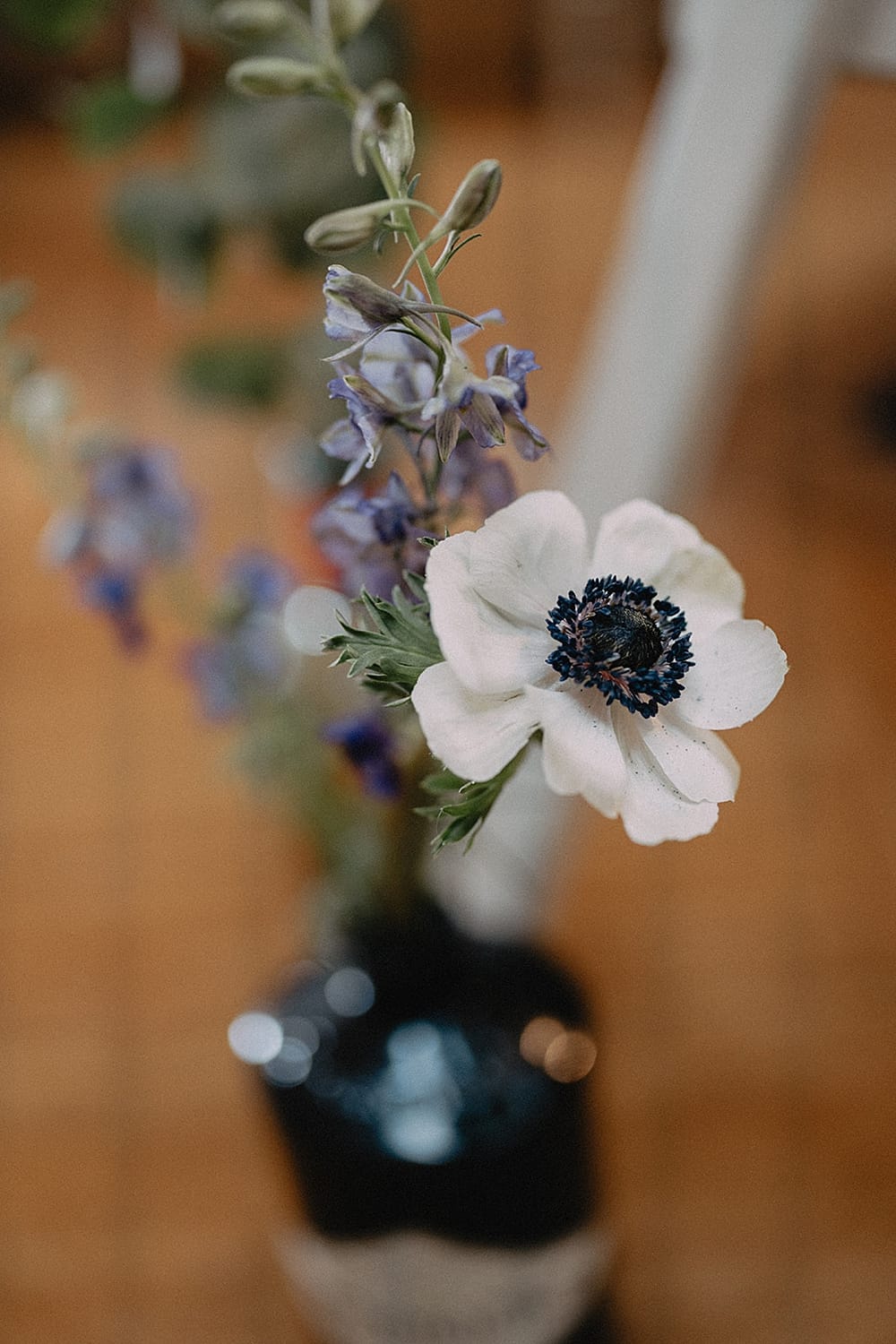 Image by <a class="text-p3" href="https://www.paulliddement.com" target="_blank">Paul Liddement Photography</a>.